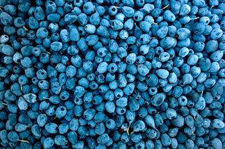 Γευτείτε τη Φύση με Ένα Φρουτώδες Smoothie Blueberry